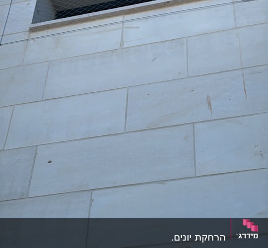 התקנת רשת ודוקרנים נגד יונים בחזית בניין